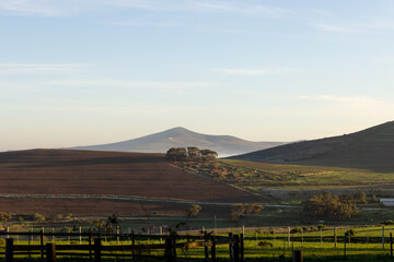 Green countryside and agricultural fields on sunny day