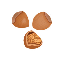 Vector illustration of whole and half brown hazelnut with green leaves. Hazelnut icon, logo, clip art and elements for web and business design.