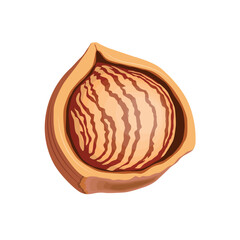 Vector illustration of whole and half brown hazelnut with green leaves. Hazelnut icon, logo, clip art and elements for web and business design.