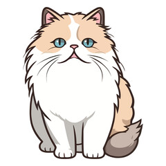 Obraz premium Flawless Feline: The Enchanting Cat Himalayan Colorpoint Persian