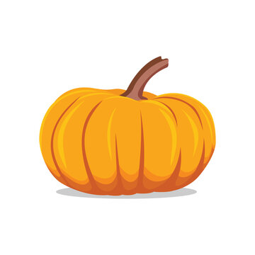 Vector illustration of pumpkin fruit flat icons cartoon style. Sign kit of halloween. Thanksgiving pictogram collection farm harvest, closeup squash, vegetable. Simple yellow pumpkin autumn fruit logo