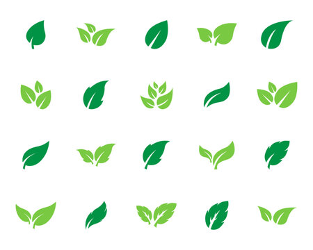 Leaf vector icon, plant, illustration, symbol, logo. editable