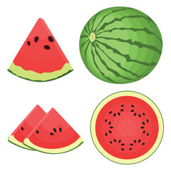 Vector illustration cartoon sttle whole and slice watermelon fruit. Green striped berry with red pulp and brown bones, cut and chopped fruit, half and sliced for summer fresh with green leaves