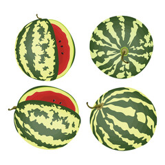 Vector illustration cartoon sttle whole and slice watermelon fruit. Green striped berry with red pulp and brown bones, cut and chopped fruit, half and sliced for summer fresh with green leaves