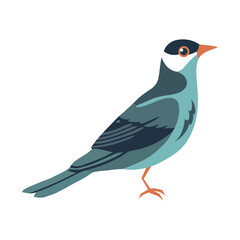 Cute cartoon bird nature beauty