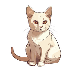 Obraz premium Fluffy young kitten sitting, charming whiskers