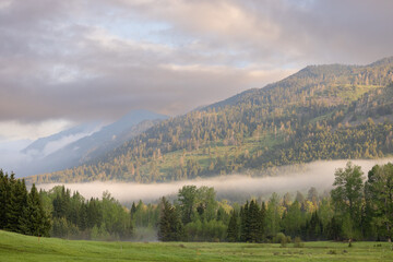 Montana Mountain Landscapes Summer spring