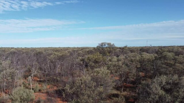 Drone Ascending over bushland and revealing the Australian Outback.