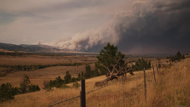 The Calwood Wildfire of 2020 burned more than 7,000 acres in a matter of hours, forcing the 
evacuation of Jamestown and Boulder County foothills. The fire burned between Jamestown and Lyons, Colorado
