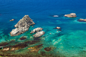エゾカンゾウ咲く海岸と海