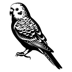 Budgerigar silhouette, Budgerigar mascot logo, Budgerigar Black and White Animal Symbol Design, Bird icon.	