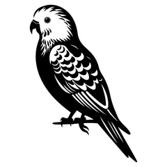 Budgerigar silhouette, Budgerigar mascot logo, Budgerigar Black and White Animal Symbol Design, Bird icon.	