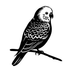 Budgerigar silhouette, Budgerigar mascot logo, Budgerigar Black and White Animal Symbol Design, Bird icon.	