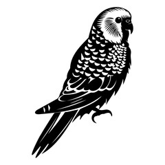 Budgerigar silhouette, Budgerigar mascot logo, Budgerigar Black and White Animal Symbol Design, Bird icon.	