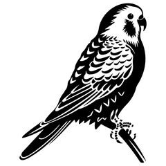 Budgerigar silhouette, Budgerigar mascot logo, Budgerigar Black and White Animal Symbol Design, Bird icon.	