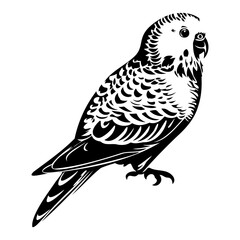 Budgerigar silhouette, Budgerigar mascot logo, Budgerigar Black and White Animal Symbol Design, Bird icon.	