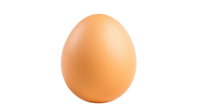 Picture of a single chicken egg with a transparent background.