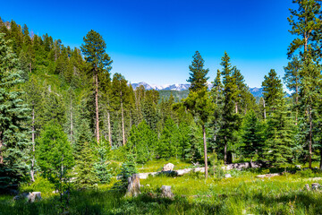 Williams Creek Wilderness Area in Colorado