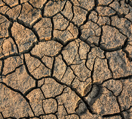  footprint in the draught cracked ground,