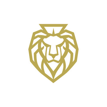 Lion head iIllustration logo. Isolated on white background