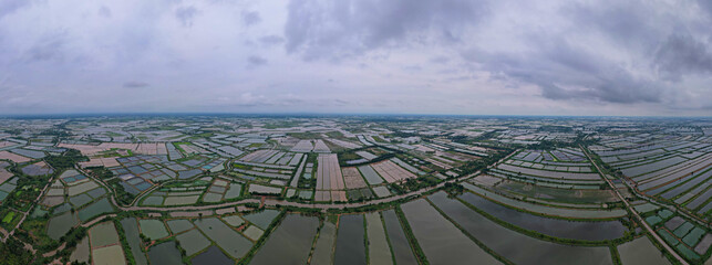 Lush green rice fields blend harmoniously with the backdrop of a cloudy sky creating a picturesque rural landscape.