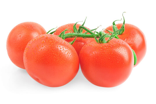 close up photo of tomatoes