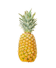 Ripe, juicy, sweet pineapple. Photo of exotic fruits. Studio Photo