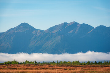 Potter Marsh Bird Sanctuary, Alaska.