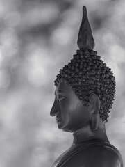 Buddha, look, peacefully, keep an eye on, Enlightened Vision: Buddha's Serene Observation