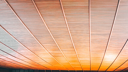 The curval design of wooden ceiling. Eco-friendly concept of sustainable sources 