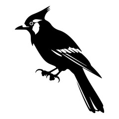 Blue jay silhouette, Blue jay mascot logo, Blue jay Black and White Animal Symbol Design, Bird icon.