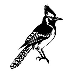 Blue jay silhouette, Blue jay mascot logo, Blue jay Black and White Animal Symbol Design, Bird icon.
