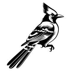 Blue jay silhouette, Blue jay mascot logo, Blue jay Black and White Animal Symbol Design, Bird icon.
