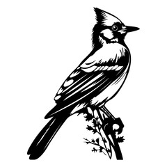 Blue jay silhouette, Blue jay mascot logo, Blue jay Black and White Animal Symbol Design, Bird icon.