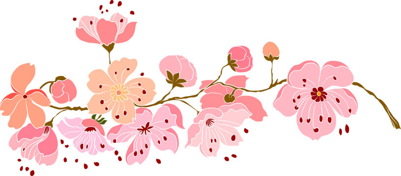 Free hand Sakura flower vector set, Beautiful line art Peach blossom isolate on white background.Cherry blossom illustration set.Element for weding card or printing on backdrop. 