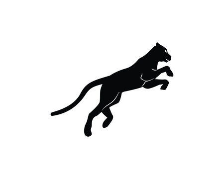 silhouette icon logo design.
Jaguar, cheetah, puma, lion, tiger, panther.
jumping.