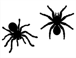 Set of Tarantula Silhouette