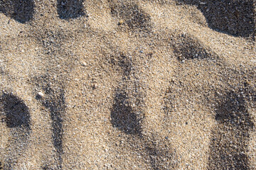 The texture of pure sand on the beach or in the desert. There is free space for the text.