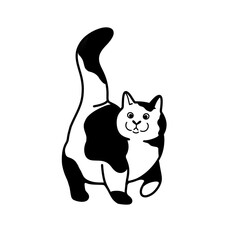 Image of a cat on walk. Cat icon. Icon for Instagram highlights, stories, websites, other social networks.