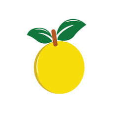 Vector image of illustration of an orange fruit.
