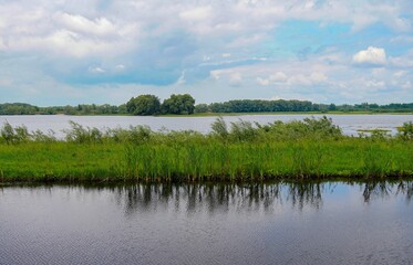 Summer landscape with a river, green grass, reeds and a blue sky with white clouds, in sunny weather.