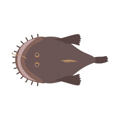 キアンコウ（ホンアンコウ）。フラットなベクターイラスト。
Yellow goosefish. Flat designed vector illustration.