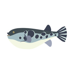 トラフグ。フラットなベクターイラスト。 Japanese pufferfish. Flat designed vector illustration. © nagamushi studio