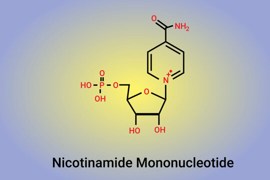Nicotinamide mononucleotide molecule Precursor of NAD+ chemical skeletal formula.