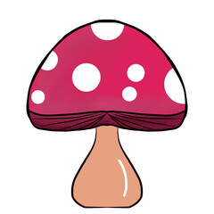 autumn, brown, background, botany, forest, mushroom, natural, nature, organic, styleautumn, brown, background, botany, forest, mushroom, natural, nature, organic, style, canada leaf, maple, red leaf