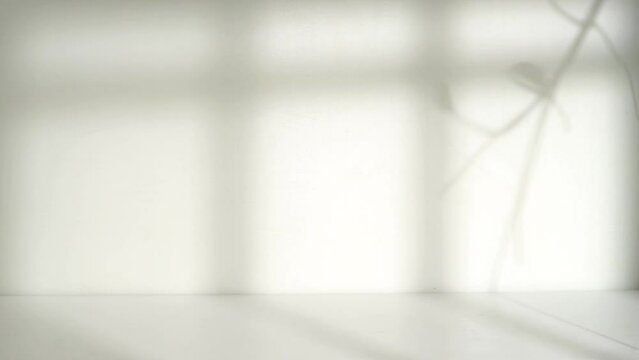 empty room display with white wall