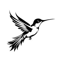 Hummingbird vector, logo, isolated on white background, vector illustration.