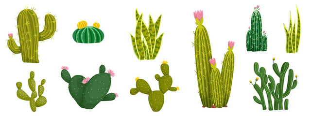 Set of blooming cacti and succulents. Exotic thorny plants. Vector graphics.