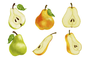 Set of watercolor pears. Vector ripe fruits.