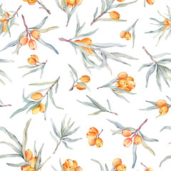 Pattern with orange sea buckthorn. Sea buckthorn for healthy life and design background. Hand painted. Botanical natural. Seamless pattern, an illustration for postcards, posters, textile design.